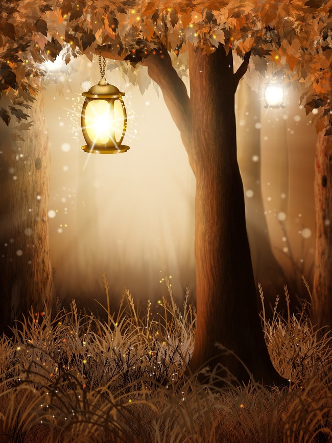 lantern hanging from tree in forest