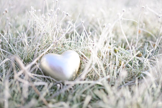 silver heart on grass